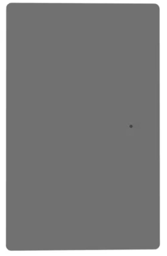 NETUS product